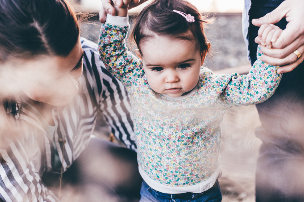 SEEDS - Social Emotional Early Development Services