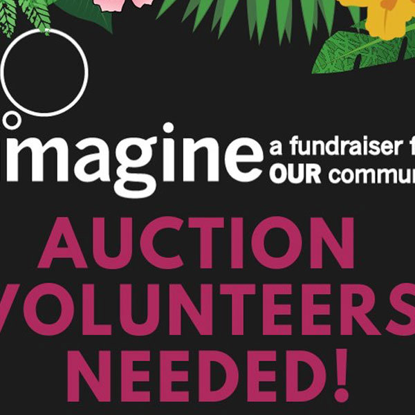 IMAGINE 2019 – Volunteer Opportunities!